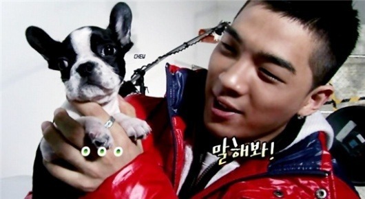 성&이름이 특이한,흔하지 않은 이름을 가진 아이돌 모음 | 인스티즈