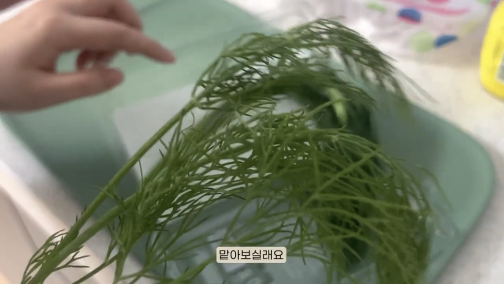 현재 기혼감성으로 난리난 홍시 대신할 유튜브 추천 | 인스티즈