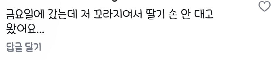 애슐리퀸즈 딸기 축제 상황 | 인스티즈