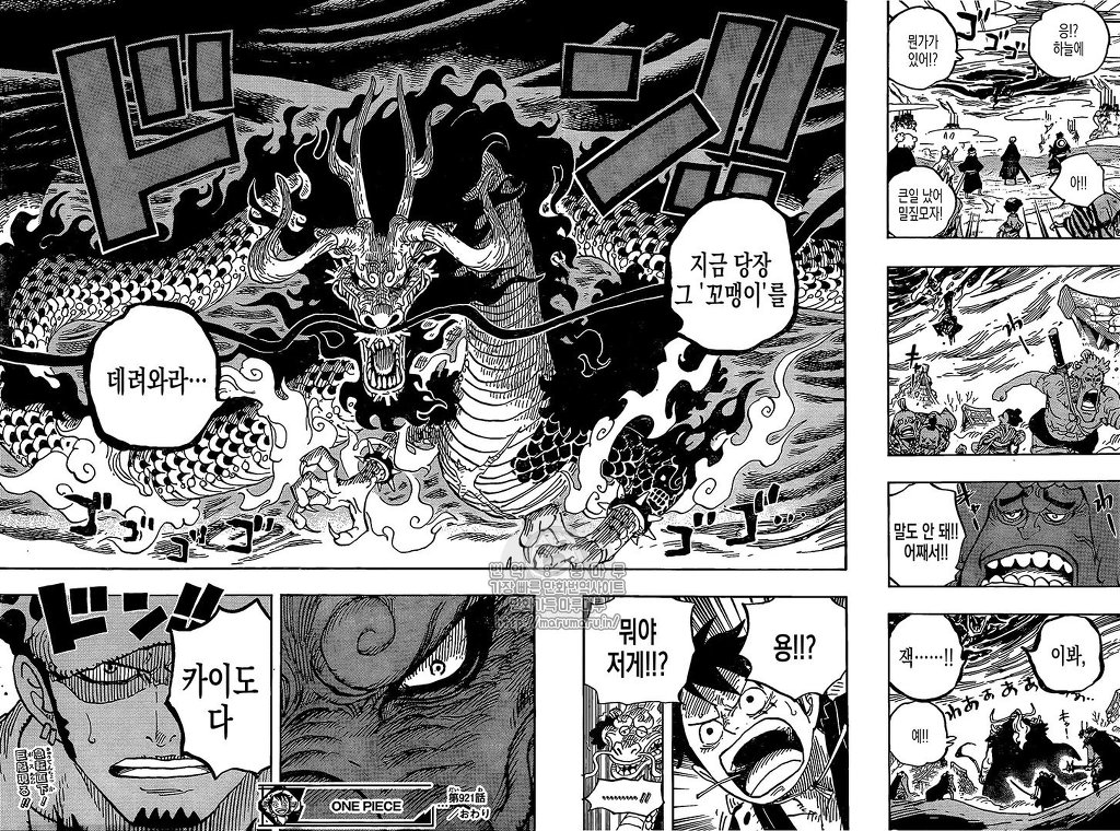 [원피스] 카이도를 잡기 위해서 와노쿠니에 와야하는 인물둘 | 인스티즈