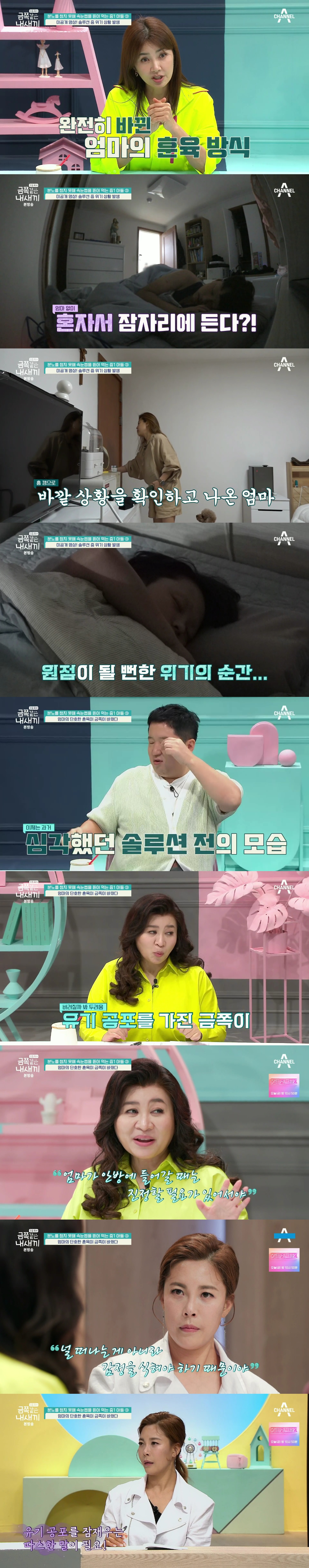 절대로 개선되지 못할거라는 반응 많았던 역대급 금쪽이의 놀라운 변화.jpg | 인스티즈