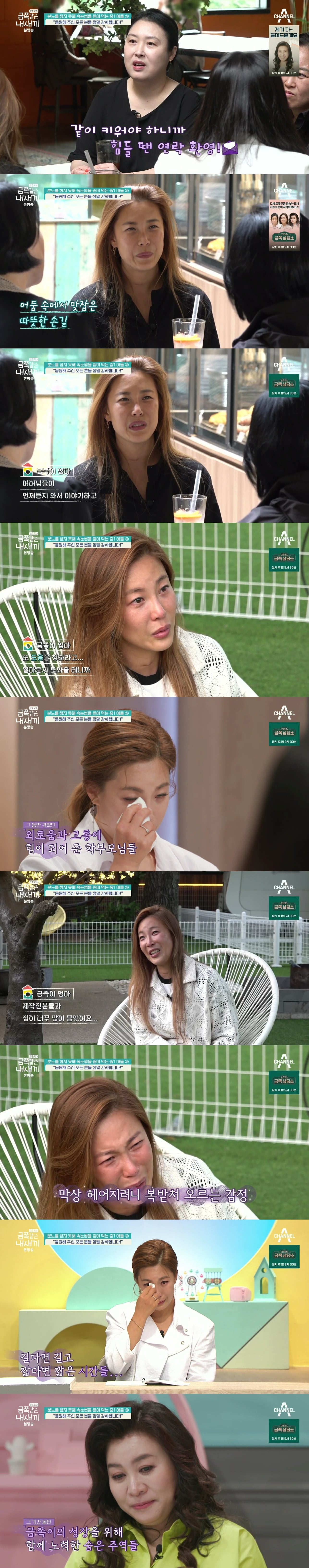 절대로 개선되지 못할거라는 반응 많았던 역대급 금쪽이의 놀라운 변화.jpg | 인스티즈