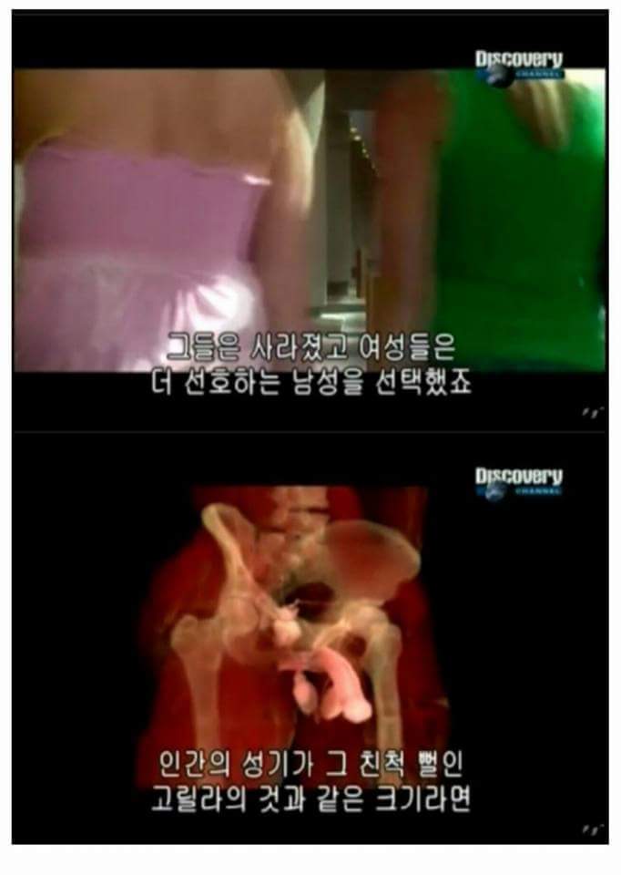 남성의 성기가 크고 굵은 이유 | 인스티즈