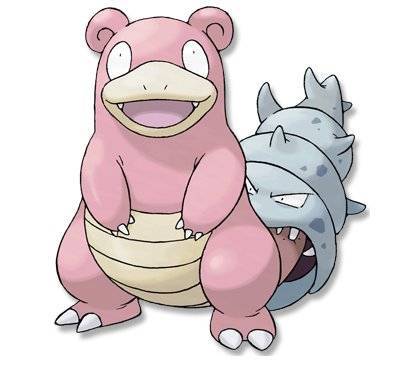 포켓몬스터 야돈의 비밀 | 인스티즈