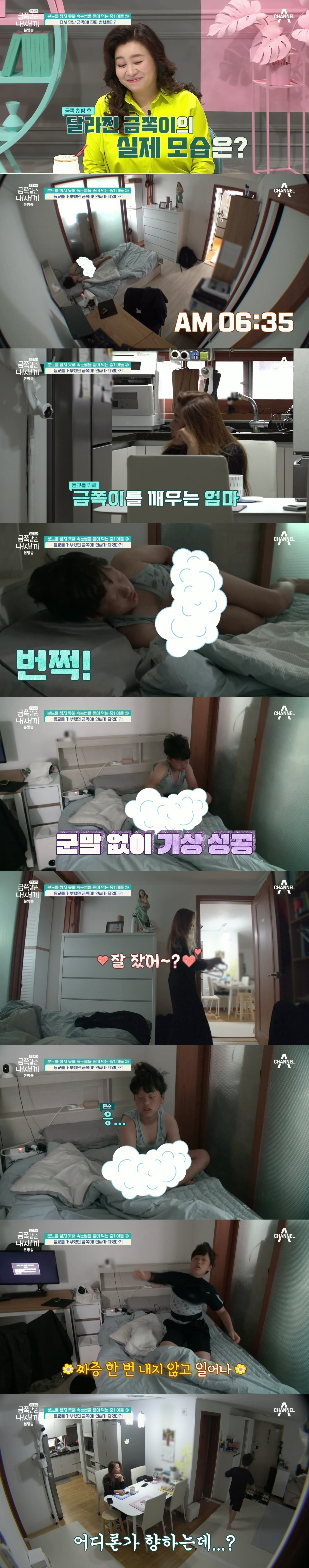 절대로 개선되지 못할거라는 반응 많았던 역대급 금쪽이의 놀라운 변화.jpg | 인스티즈