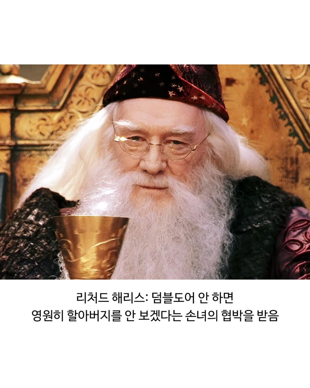 가족들에게 협박받고 출연했다는 해리포터 성인배우들 | 인스티즈