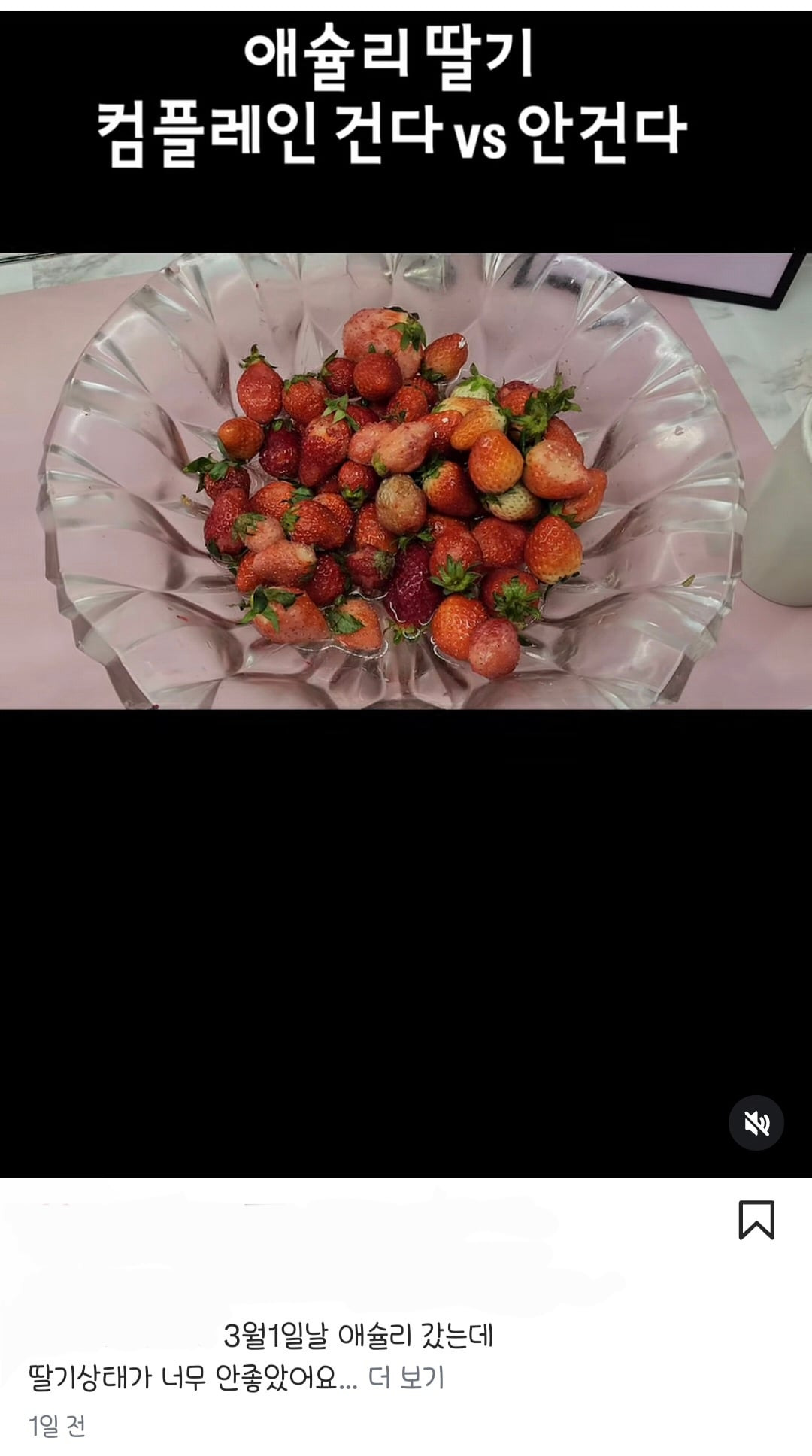 애슐리퀸즈 딸기 축제 상황 | 인스티즈