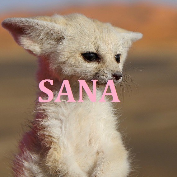 트와이스 지효가 말하는 멤버별 닮은 동물.jpg | 인스티즈