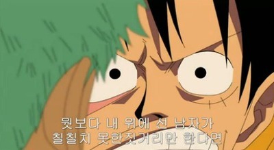 [원피스] 루피가 가장 신뢰하는 동료.jpg | 인스티즈