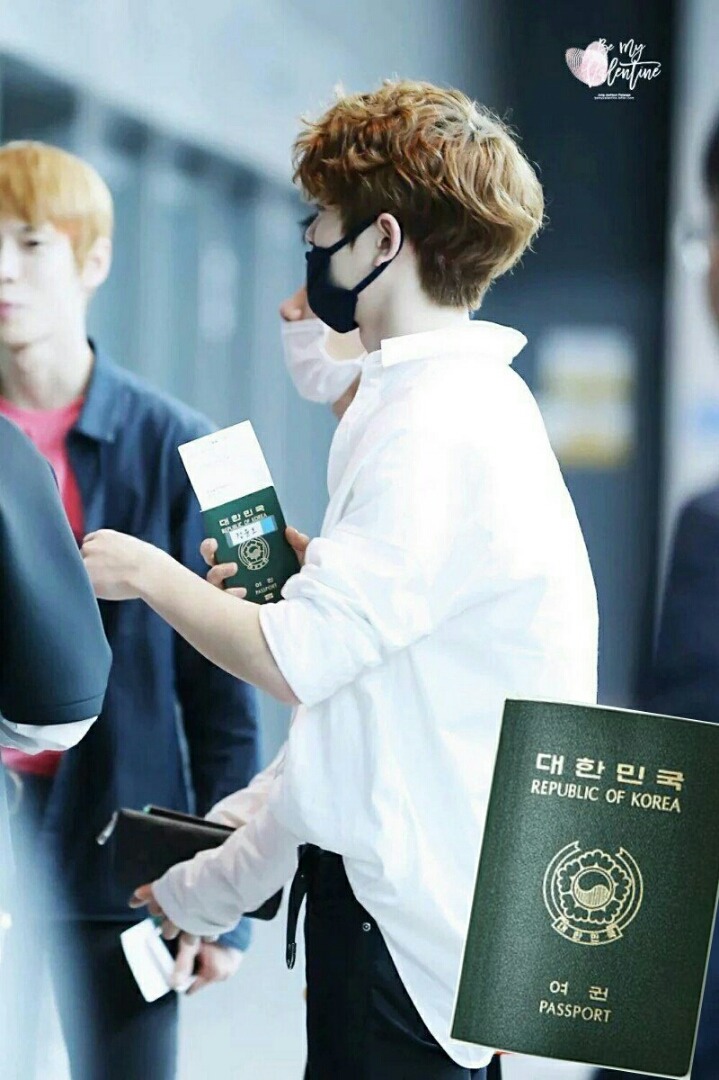 다국적 아이돌 그룹의 여권들.passport | 인스티즈