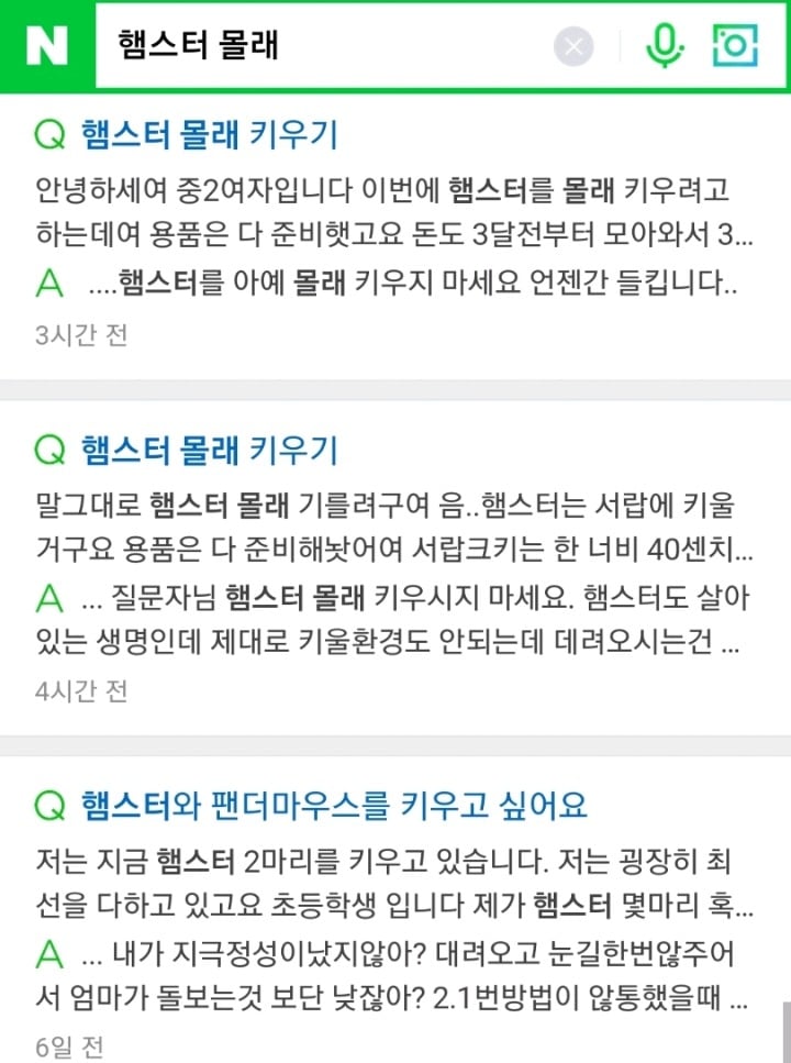 햄스터 몰래 키우기 (feat.어린 학생들에게 햄스터를 판매하면 안되는 이유) | 인스티즈
