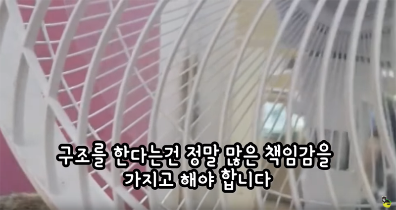 입양 9년만에 파양되어 돌아온 고양이 '둥이' | 인스티즈
