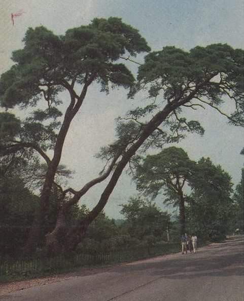 경기도 수원시의 옛 모습.jpg | 인스티즈