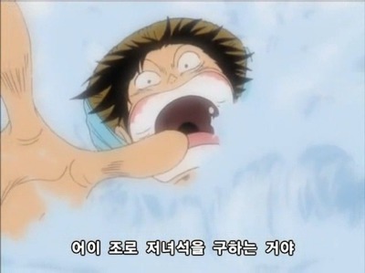 [원피스] 루피가 가장 신뢰하는 동료.jpg | 인스티즈