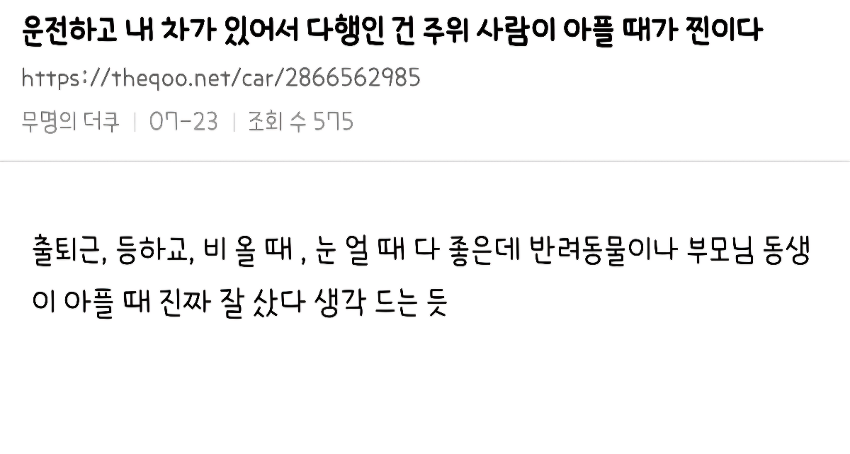 운전면허 절대 안따려고했던 사람들도 어쩔수없이 따는 경우 | 인스티즈