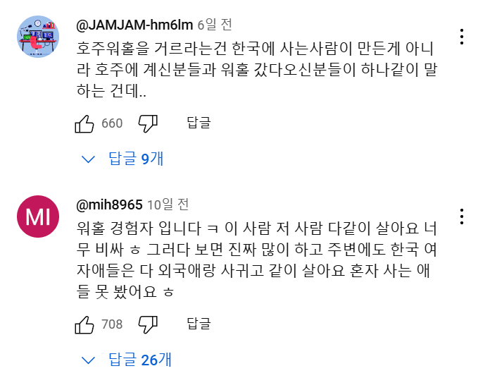 호주 워홀.....유튜브 댓글 대참사 | 인스티즈