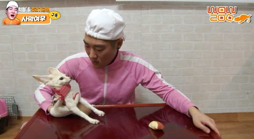 이제 그냥 신고해도 될 것같은 아프리카BJ 턱형의 불법사육.jpg | 인스티즈