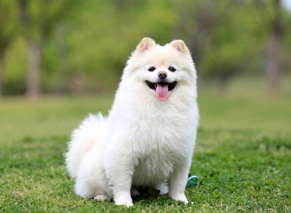 시간을 초월해서 전화가 왔다 누구의 전화를 받을 거야? | 인스티즈