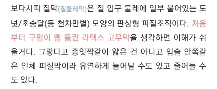 질막(처녀막)에 대해 넌 어디까지 알고있니? | 인스티즈