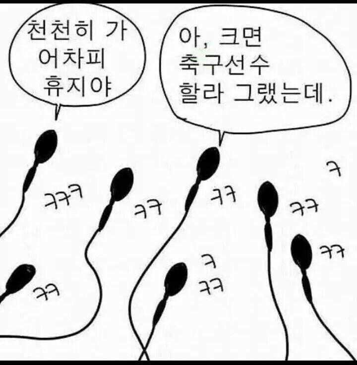질내사정 전후 난자의 모습 | 인스티즈