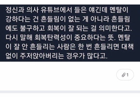 멘탈 강하다는 말중에 이거 ㄹㅇ이라고 생각하는 달글 | 인스티즈