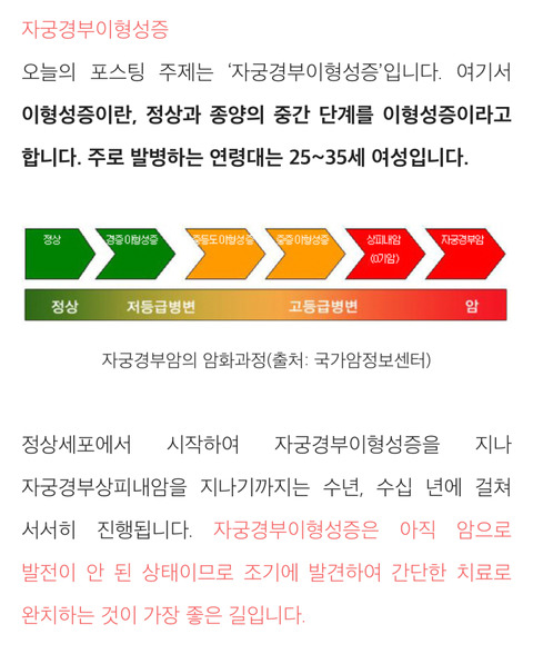 자궁경부암 hpv 병과 검사 Q&A (여자라면 꼭 읽어봐야함) | 인스티즈