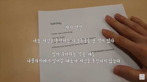 살면서 나를 배신하지 않는 것들.jpg | 인스티즈