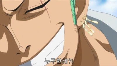 [원피스] 루피가 가장 신뢰하는 동료.jpg | 인스티즈