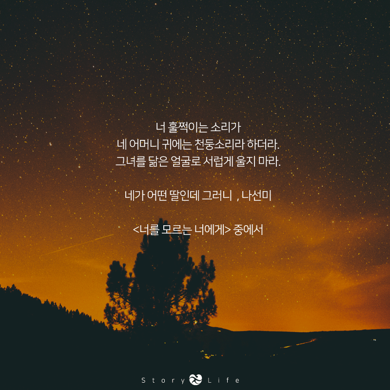 지금 시간대 보기좋은 힐링되는 감성폭발 시 모음 (사진주의배경화면하기좋음주의) | 인스티즈