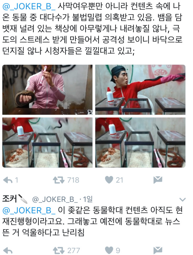 이제 그냥 신고해도 될 것같은 아프리카BJ 턱형의 불법사육.jpg | 인스티즈