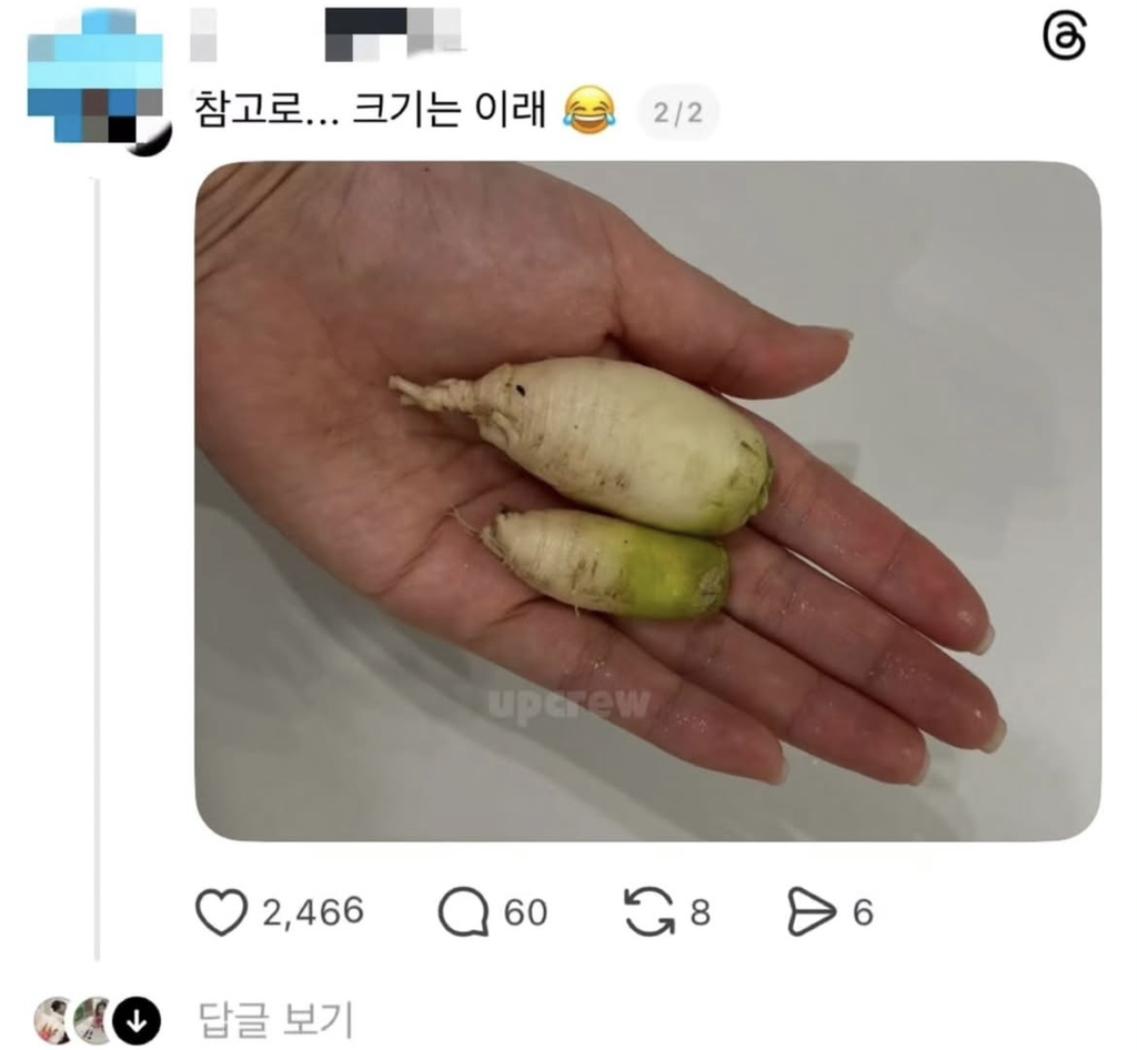 큰 애가 학교에서 키운 무라는데 | 인스티즈