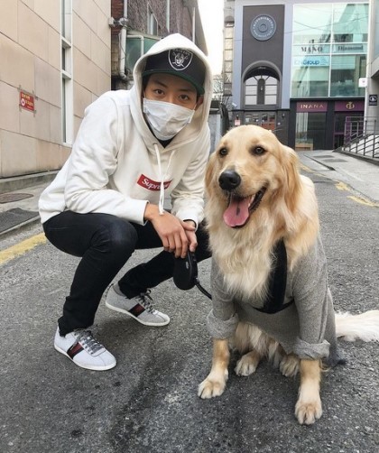 대형견을 키우는 연예인들 | 인스티즈