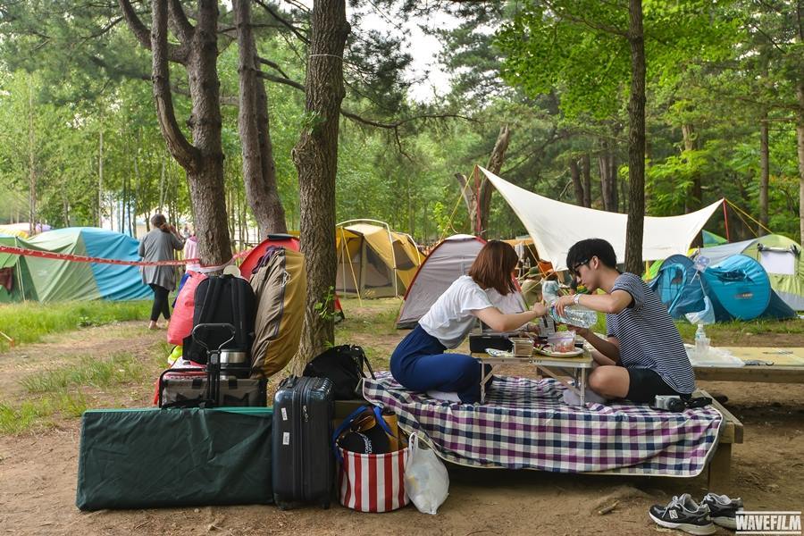 여름락페와는 또 다른 분위기가 있는 우리나라 봄 음악 페스티벌 | 인스티즈