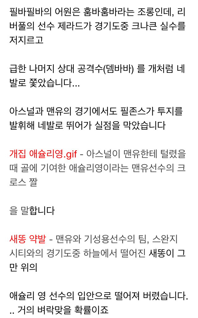 남친이 해외축구 갤러리에 올린 글을 봤는데 혹시 일베하는 건가요? | 인스티즈