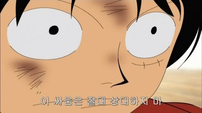 [원피스] 루피가 가장 신뢰하는 동료.jpg | 인스티즈