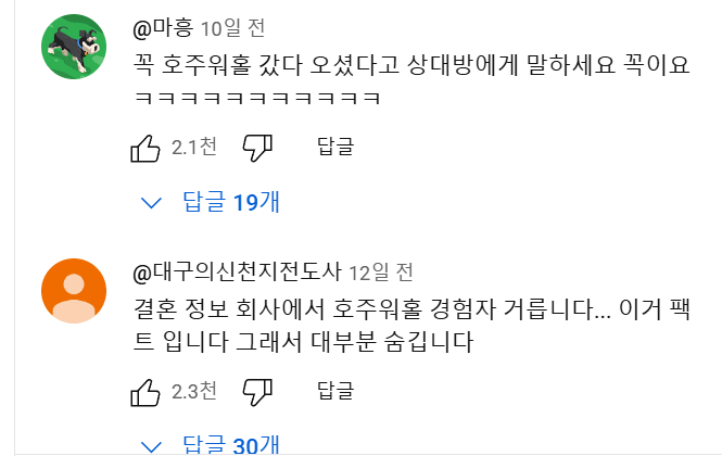 호주 워홀.....유튜브 댓글 대참사 | 인스티즈