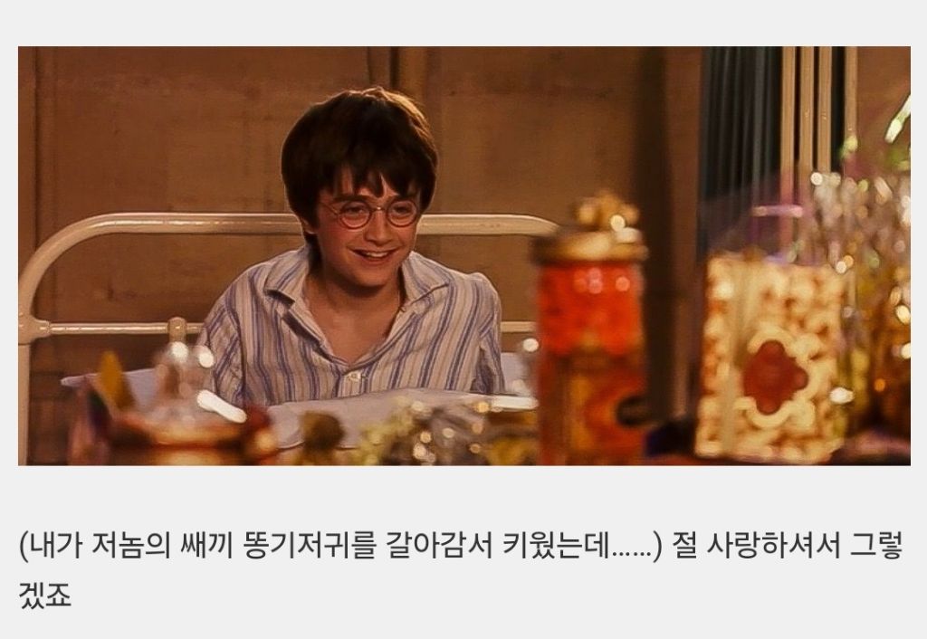 해리포터 이모부가 성동일이었다면 | 인스티즈
