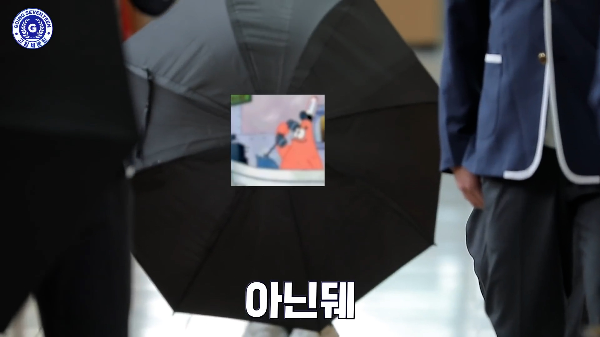 친구가 열두명 있어야하는 이유 : 무궁화꽃 재밌게 말아 줌 | 인스티즈