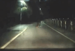 도로위... 이해가 안되는 상황.gif | 인스티즈