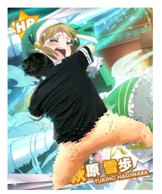 스트리머 머독 어이 정리 | 인스티즈