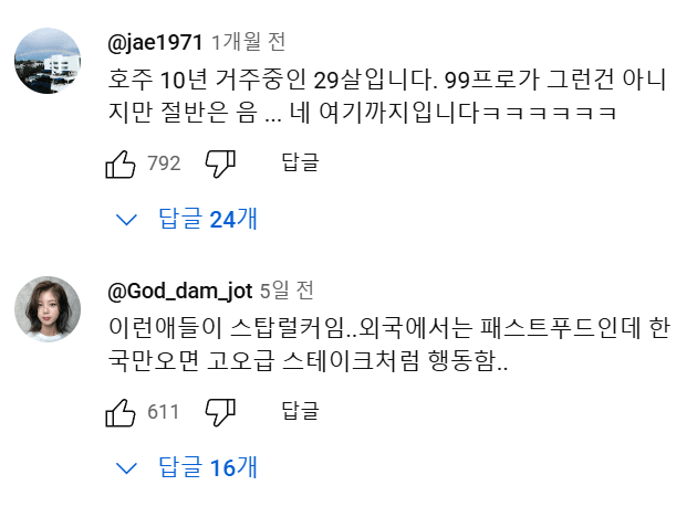 호주 워홀.....유튜브 댓글 대참사 | 인스티즈