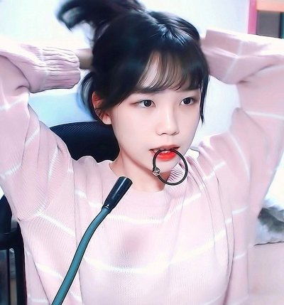 트위치 대표 미녀 스트리머들 | 인스티즈