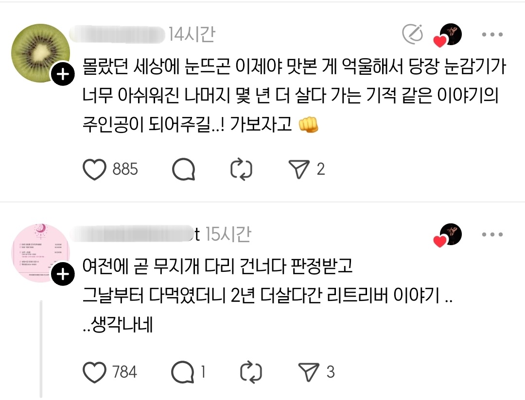어제 처음으로 강아지에게 햄버거를 사줬다 | 인스티즈