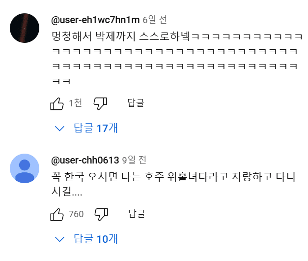 호주 워홀.....유튜브 댓글 대참사 | 인스티즈