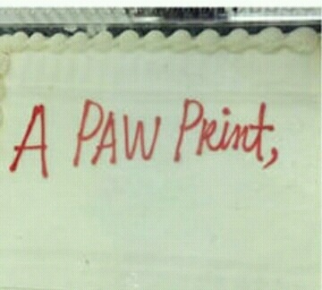 생일케이크 주문 잘못 이해한 제과점들 대참사ㅋㅋㅋㅋㅋㅋㅋㅋ | 인스티즈