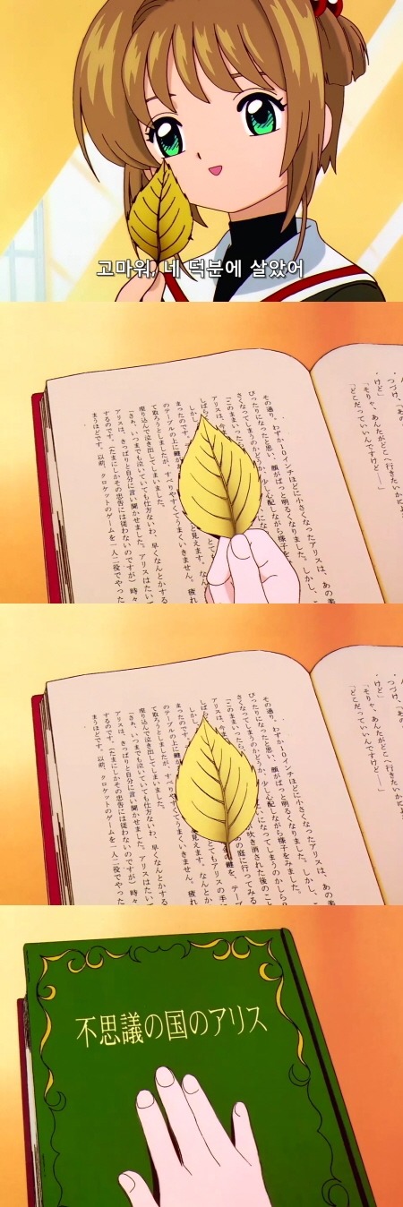 카드캡터 체리 55화 : 체리와 이상한 나라의 체리 | 인스티즈