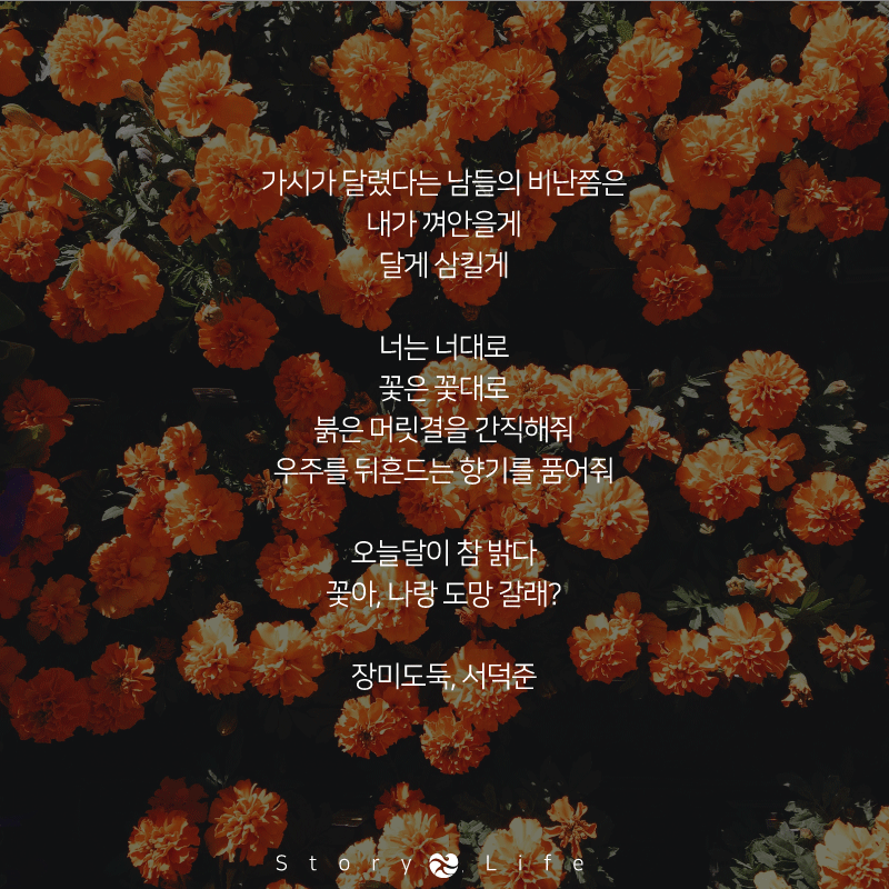 지금 시간대 보기좋은 힐링되는 감성폭발 시 모음 (사진주의배경화면하기좋음주의) | 인스티즈