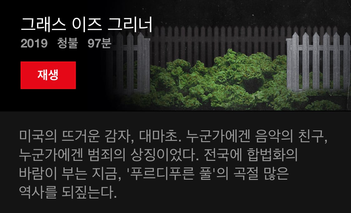 넷플릭스를 더 알차게 쓰고 싶으면 다큐를 보면 됨. 당연함. 다큐 맛집임 | 인스티즈