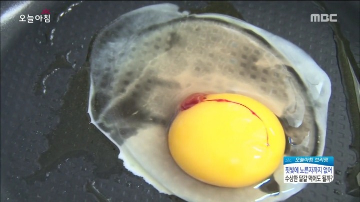 계란에서 피가나와요.jpg | 인스티즈