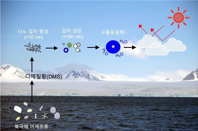 '온난화 막으려고'...지구 스스로 구름 만들어 온도 낮췄다 | 인스티즈
